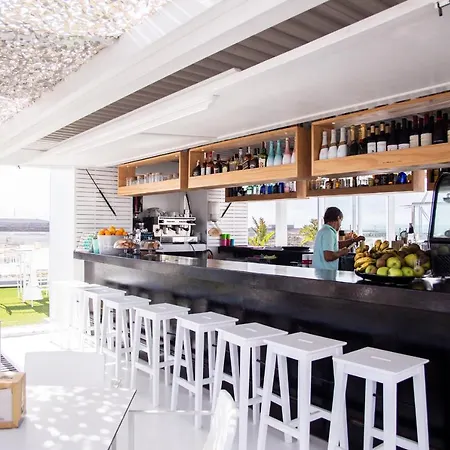 Orquídea Holidayfv * Corralejo