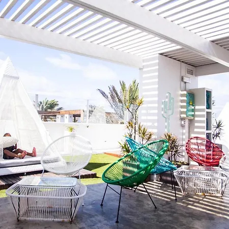 Orquídea Holidayfv Corralejo