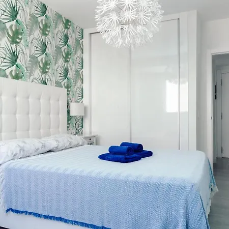 Orquídea Holidayfv *