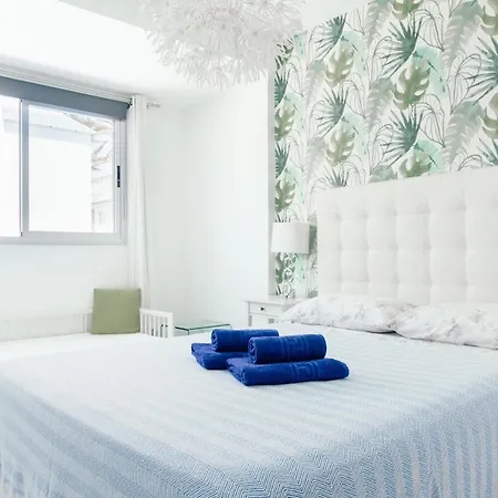 Orquídea Holidayfv * Corralejo