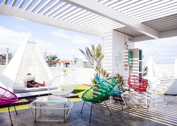 Orquídea Holidayfv Corralejo